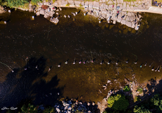 Running The Gauntlet